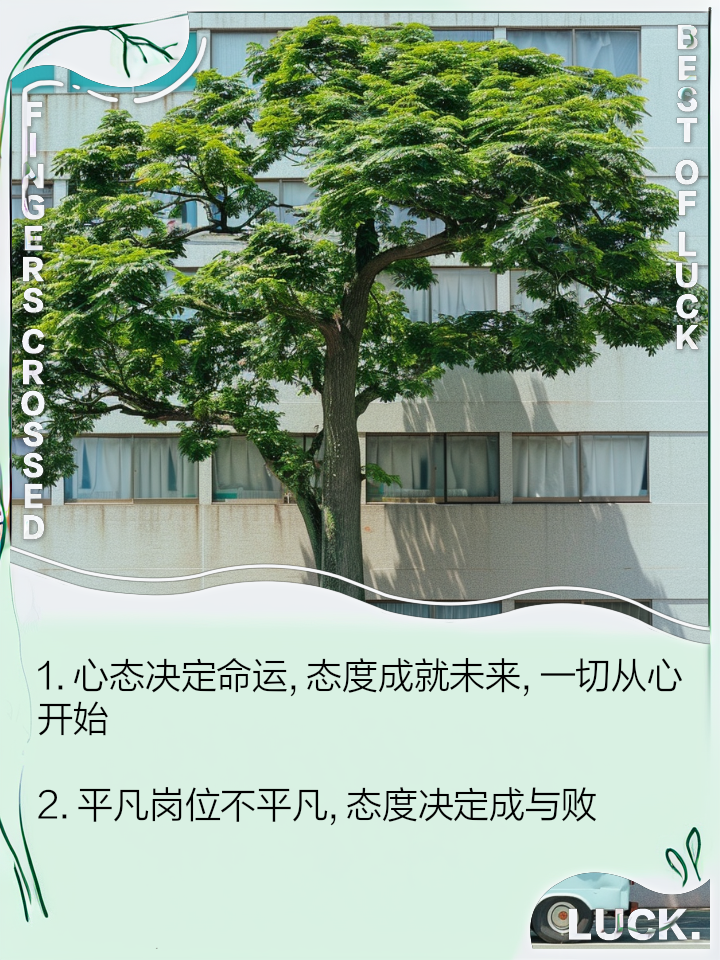 追求胜利的决心，决定一切命运赛程的简单介绍