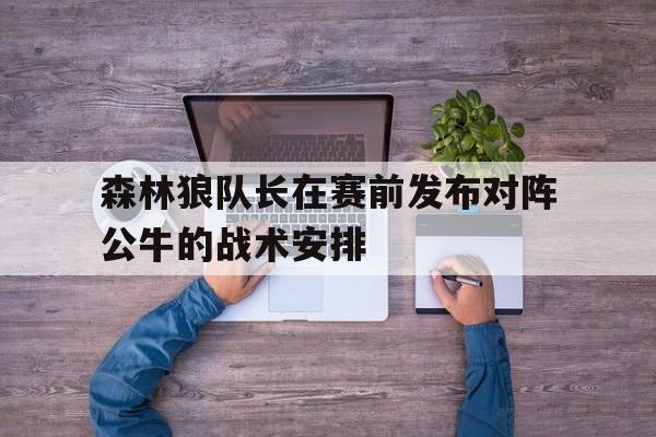 森林狼队长在赛前发布对阵公牛的战术安排